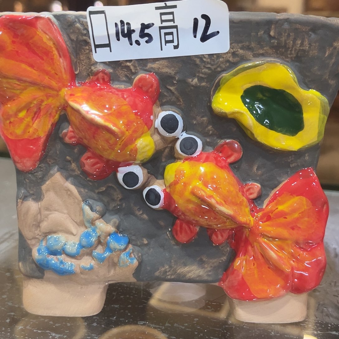 满20飞花盆爱退拉黑