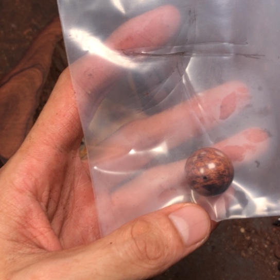 大***灰黄花梨/降香黄檀把件