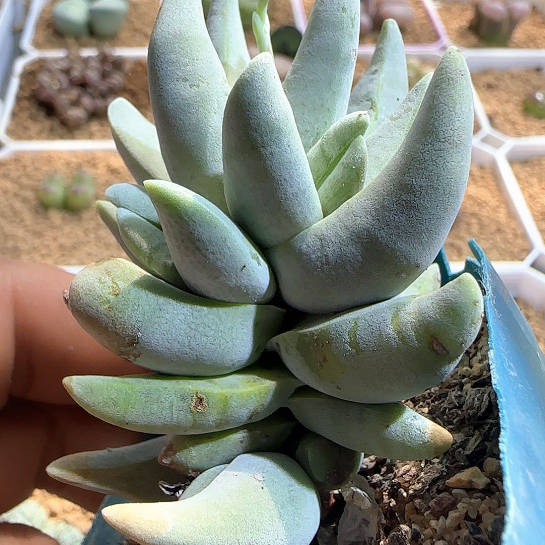 哈哈哈哈哈哈哈50739