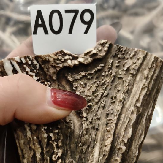 果***然鹿角鹿角鹿角鹿角鹿角