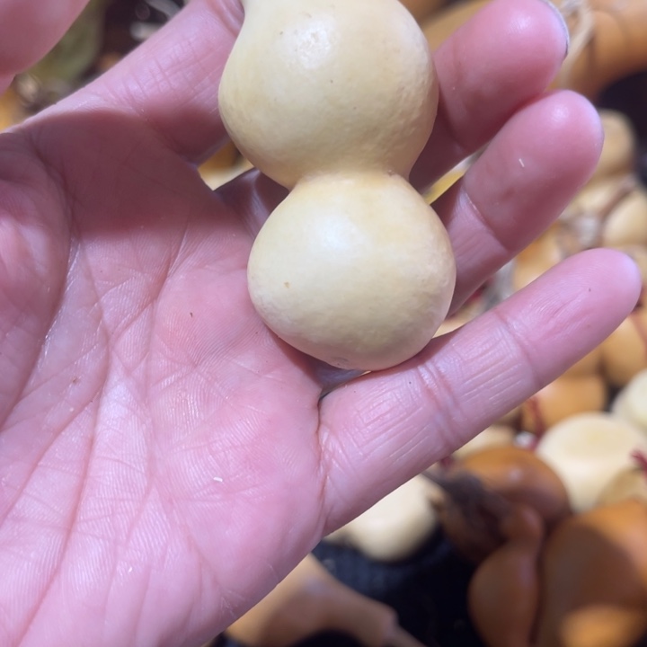 好***呦葫芦葫哈哈哈哈哈哈哈哈