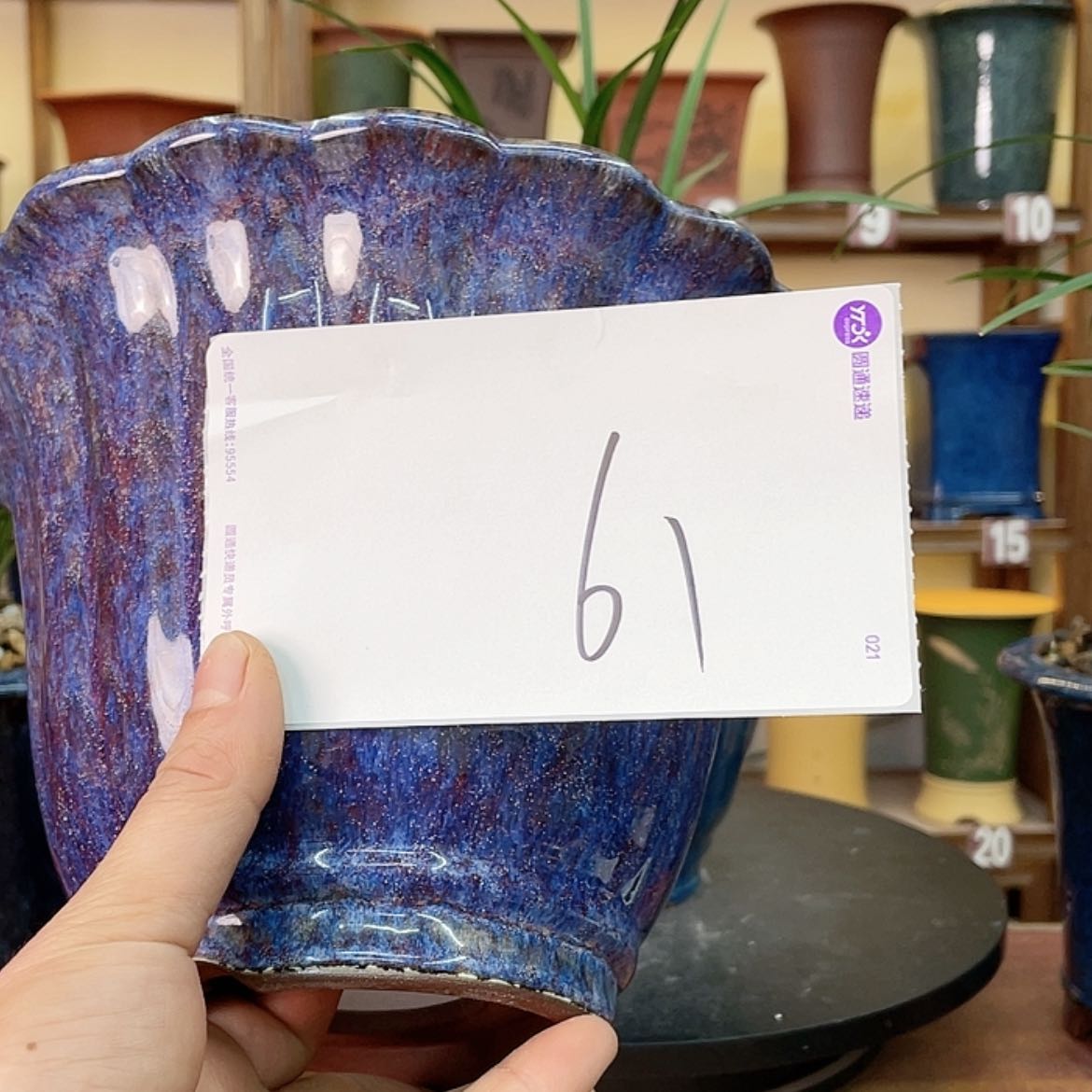 【闪购商品】紫砂花盆清****楼兰花755555583652445555