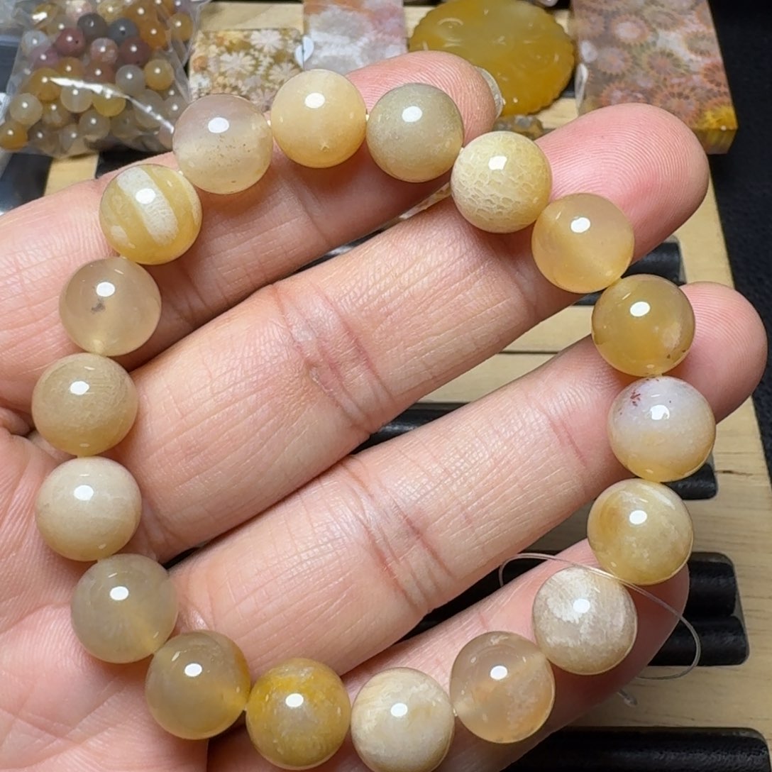 硅化珊瑚（珊瑚玉）纯天然色有机玉石未镶嵌