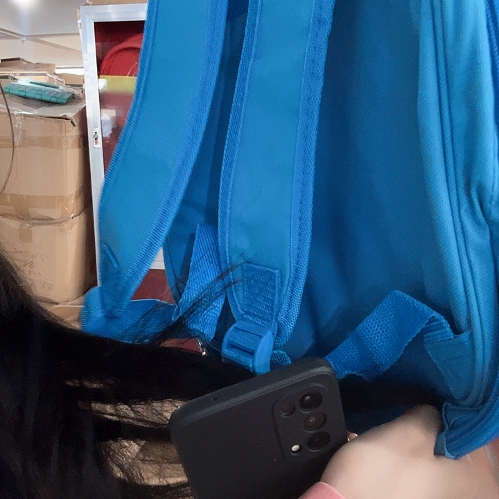 莱赛尔蓝色猪书包