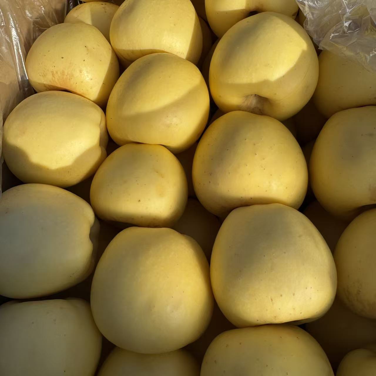 【张大庆专属】农产品苹果