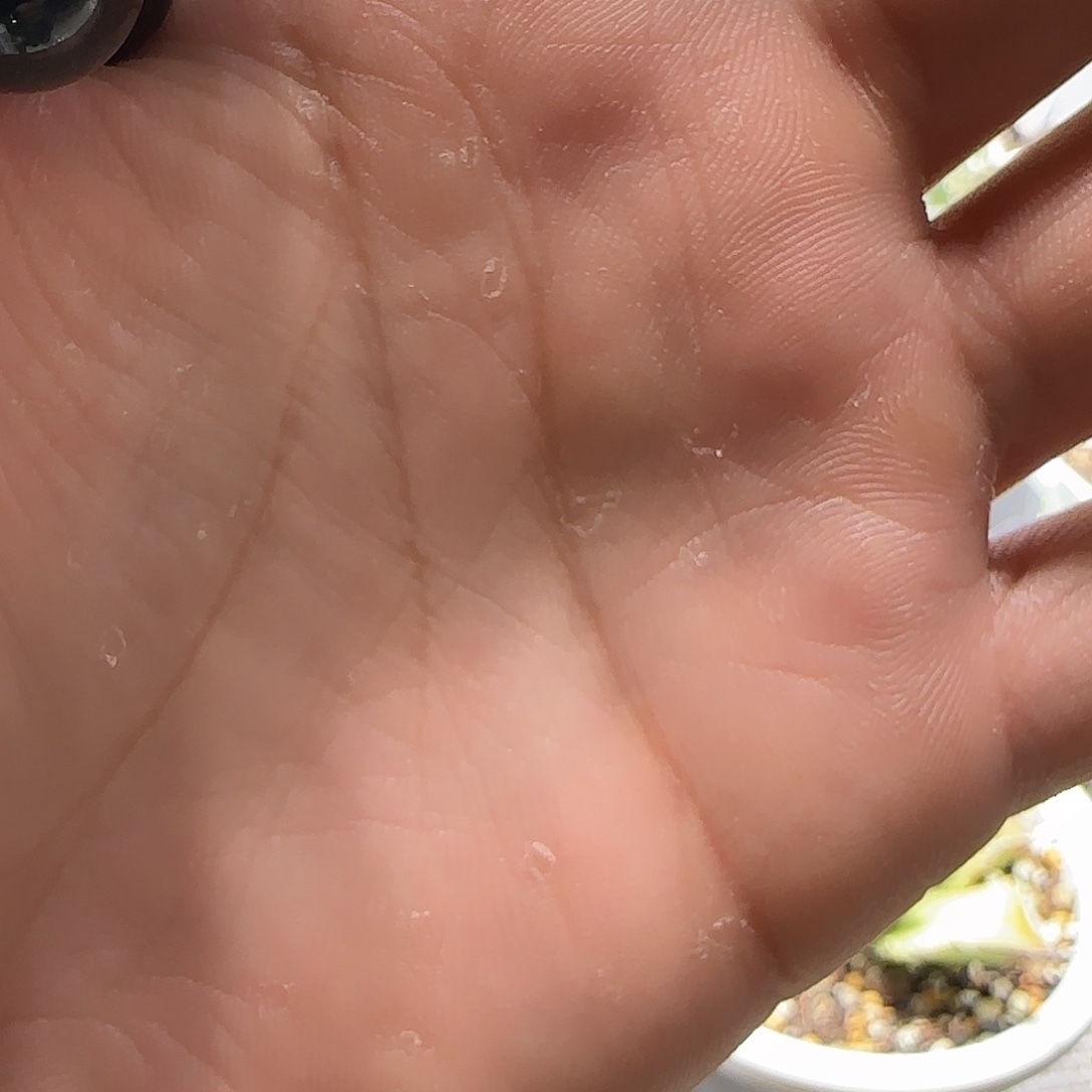 一***一福袋福利111111111