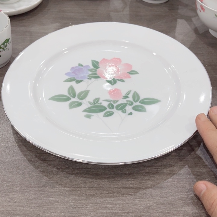 碟釉下五彩的瓷器和瓷器