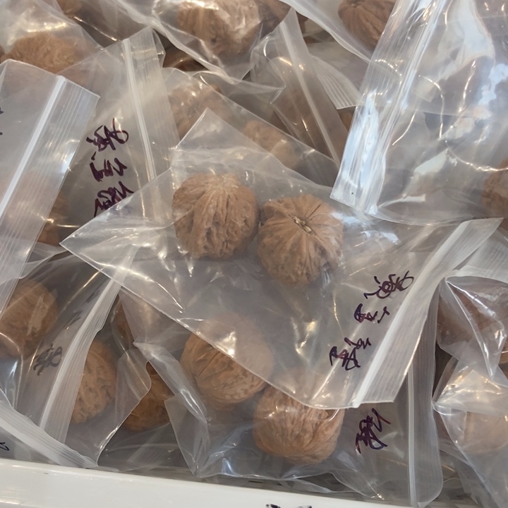 吊坠文玩核桃黄金锤手捻