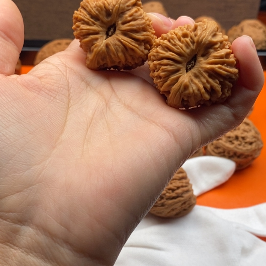 大叶紫檀（黑酸枝木类）凹底蝴蝶