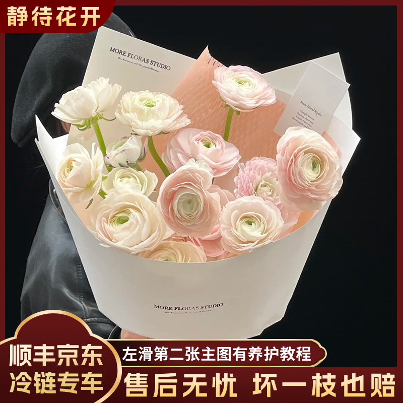 【静待花开】河内洋牡丹云南鲜花斗南直发花卉基地顺丰京东冷链