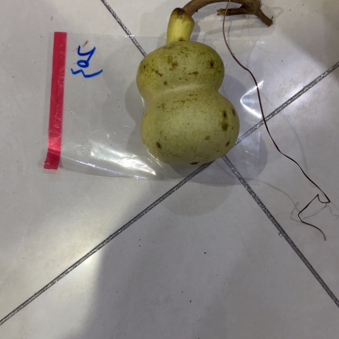 1***3葫芦啦啦乐乐咯乐乐咯来咯哦