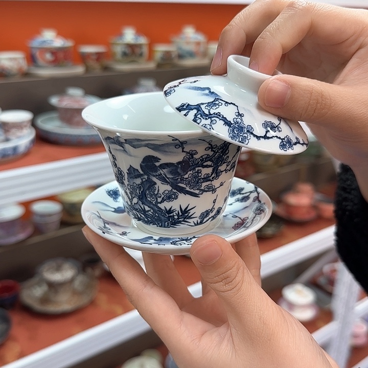 瓷片好想要这本小