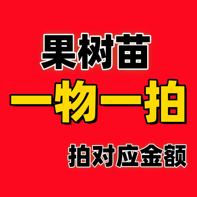 251208果树苗 一物一拍 拍对应金额