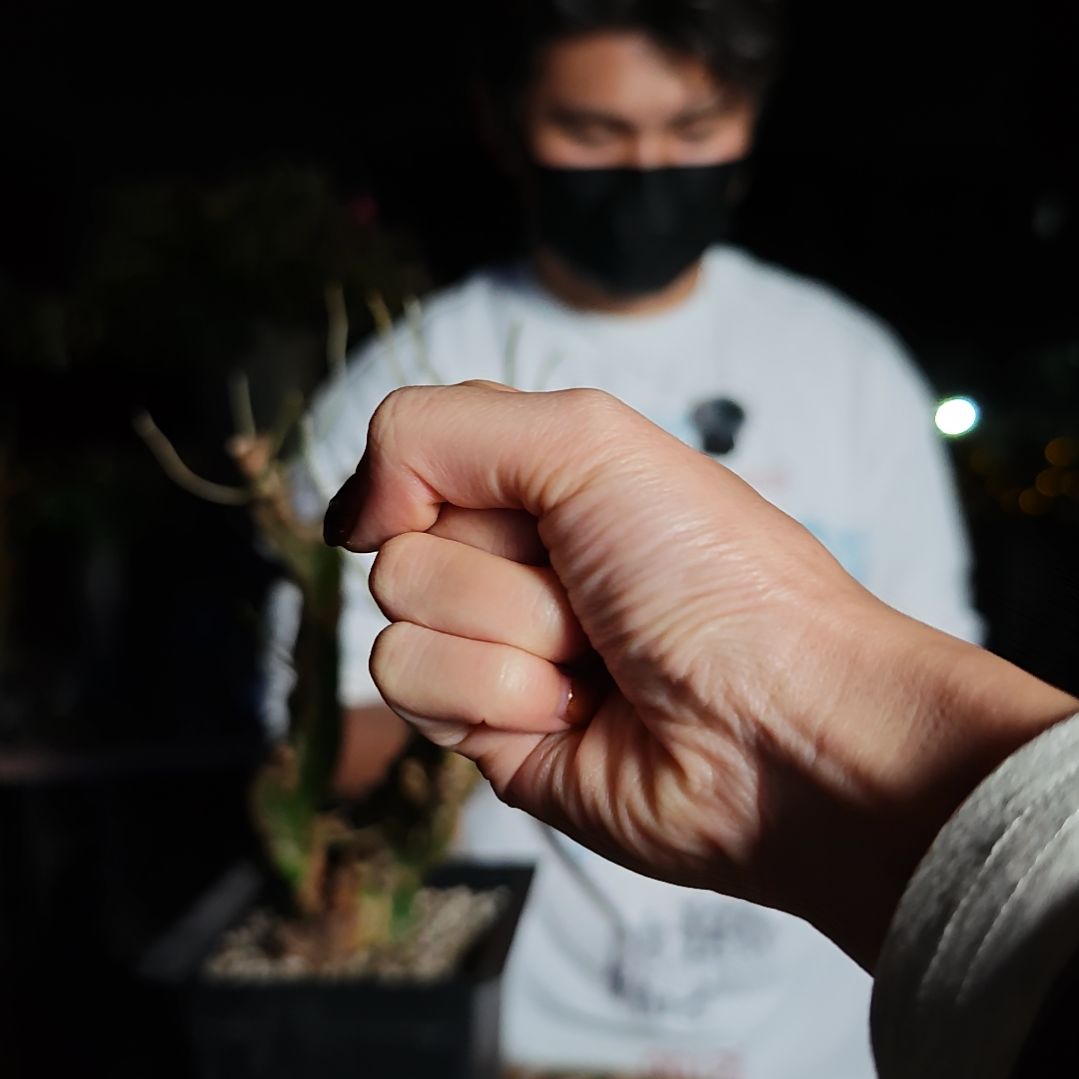 小****59卡派翠斯橄榄一物一拍差价