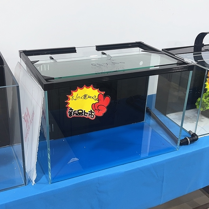 玻璃很**能60.40背新款