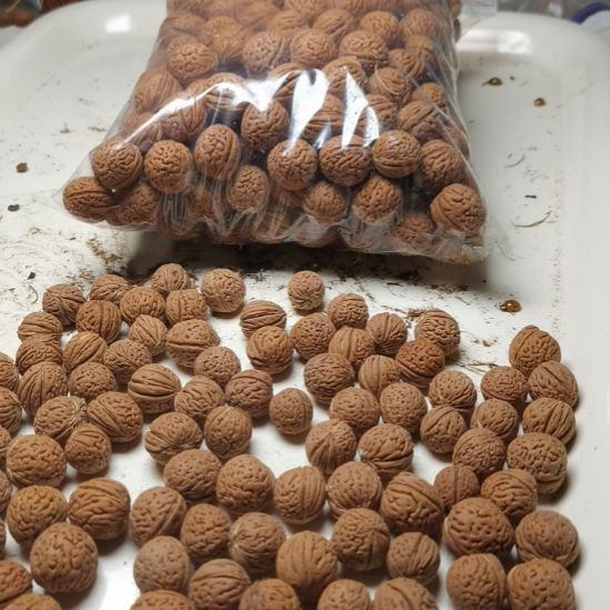 文玩核桃吊坠东北野生小桃核22