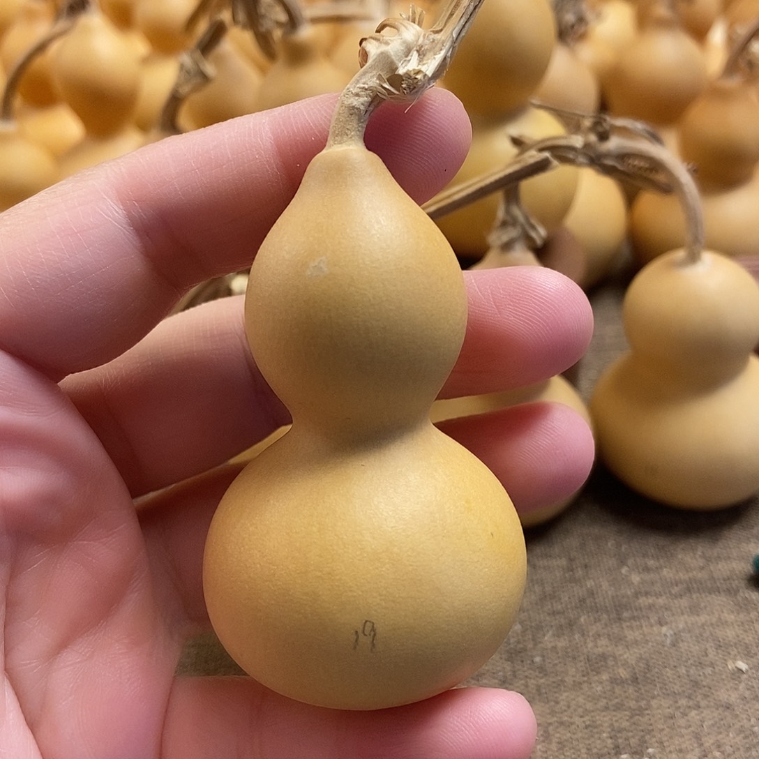 文玩葫芦 完美主义者 慎拍19