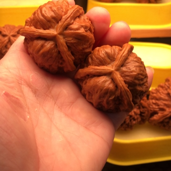 一***行核桃核桃咯核桃咯核桃咯核桃