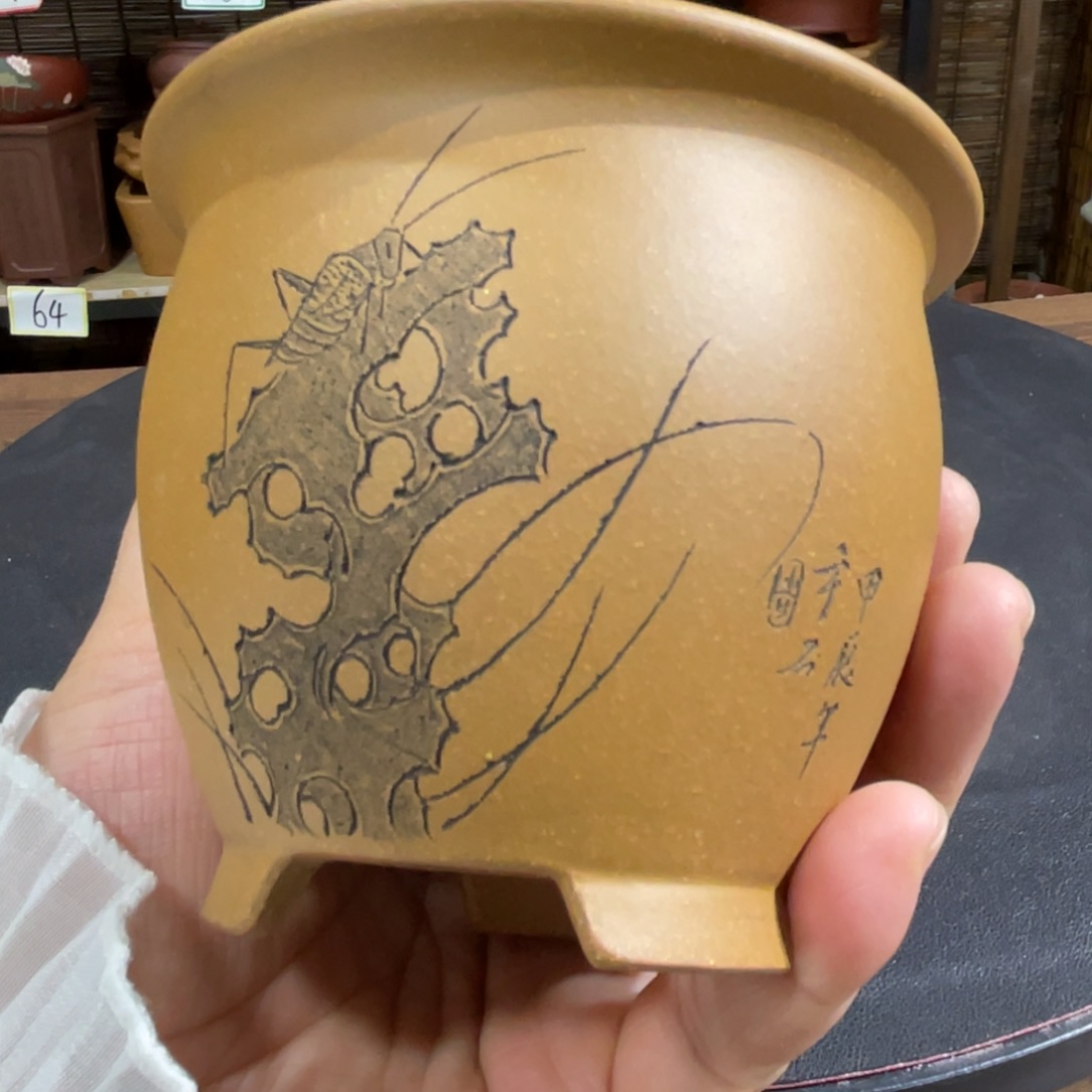 花盆紫砂紫砂花盆在此