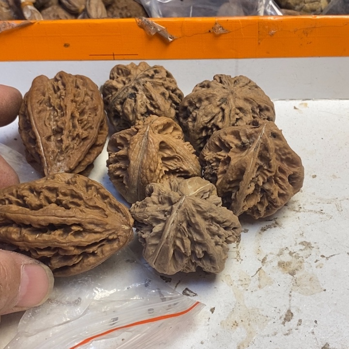 文玩核桃吊坠东北特产36