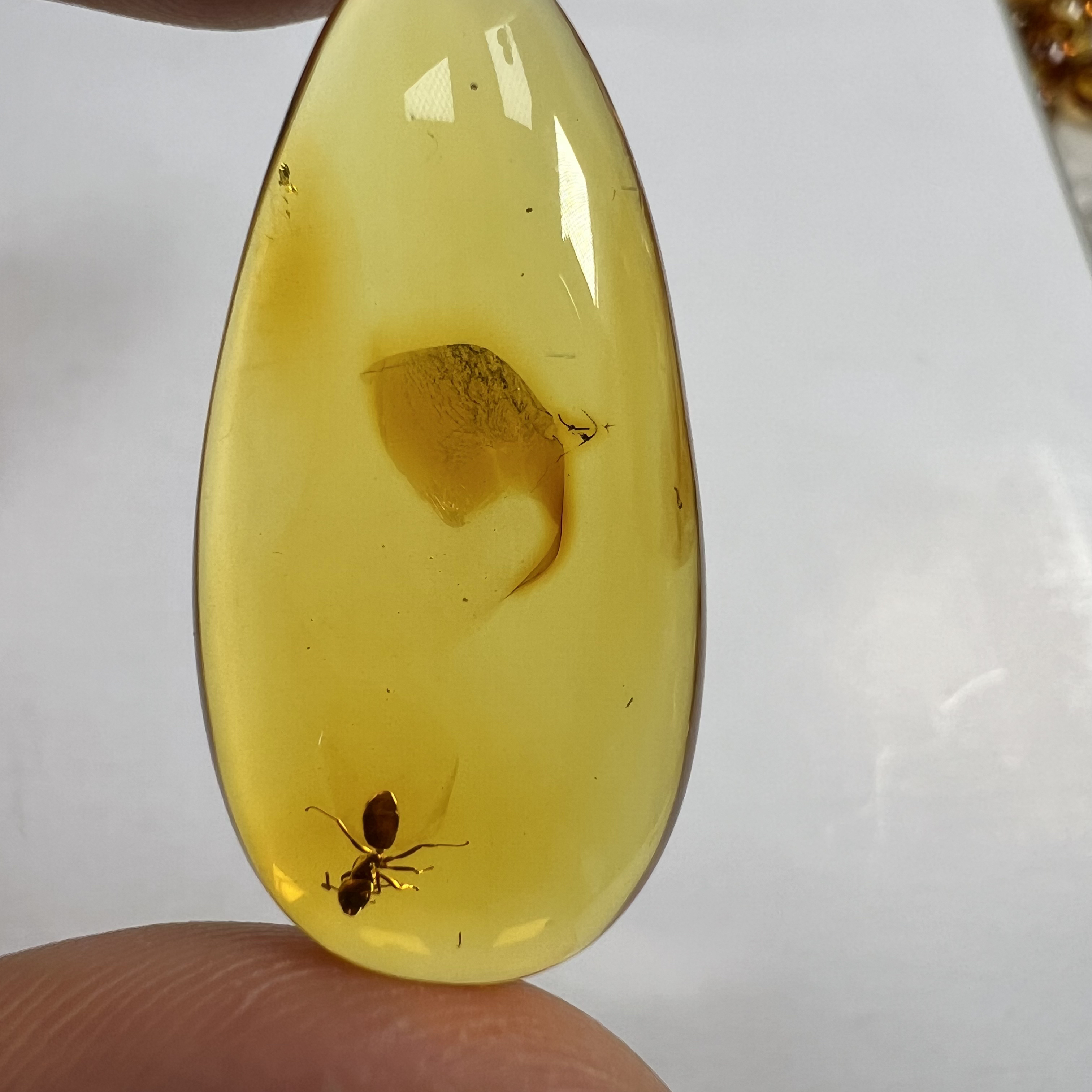 天然琥珀虫珀水滴吊坠尺寸：31.2*15.4*7.9mm