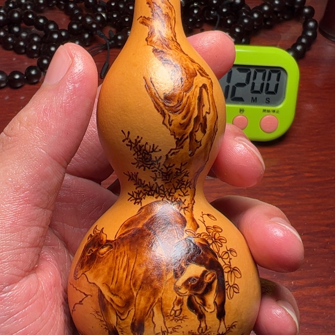 大***树中华本地手捻葫芦