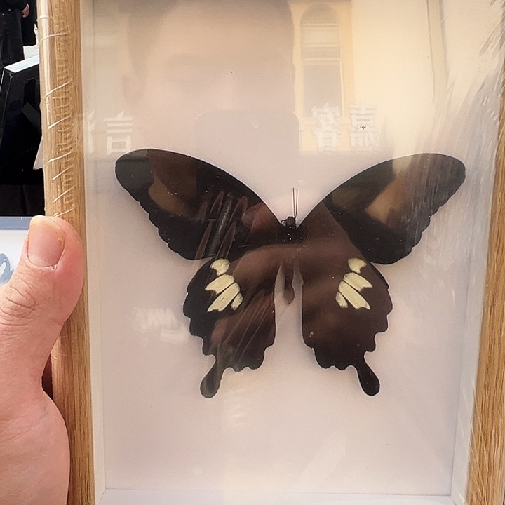 有机玻璃789996554677