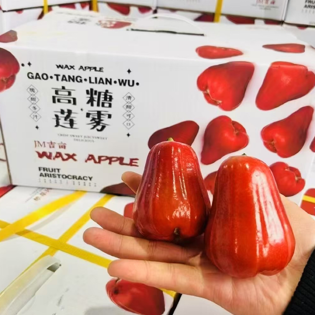 【军哥严选】空运黑金刚莲雾原箱2.8斤左右