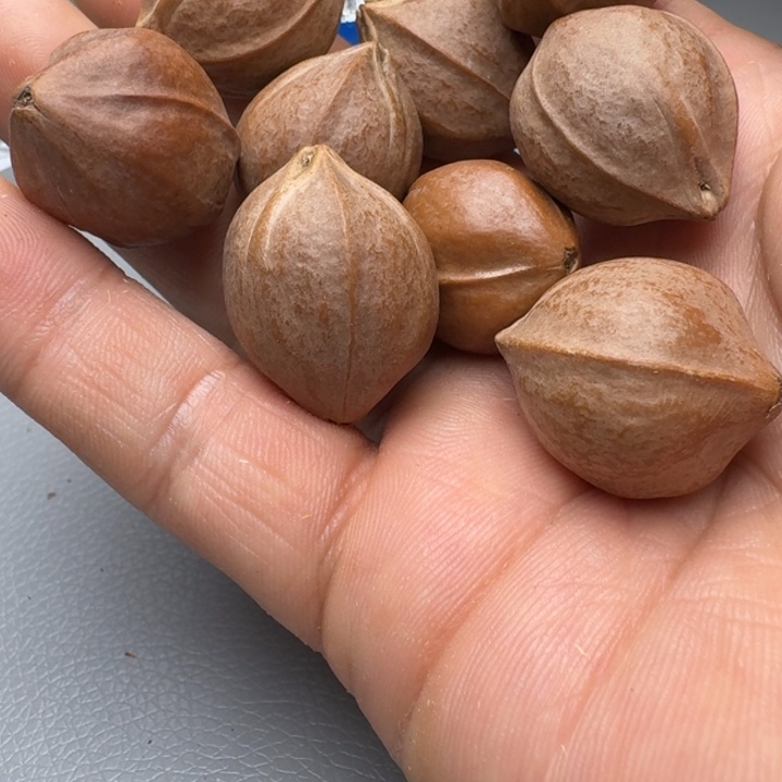 橄榄核手串原**皮橄榄核666