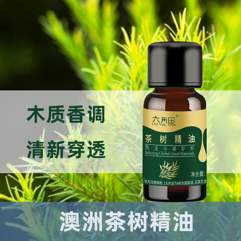 六月田茶树精油单方澳洲进口原料清新穿透木质香调香薰面部精油