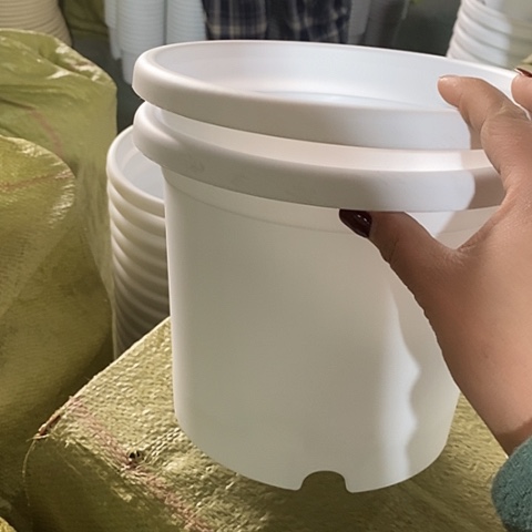 树脂四季3号10个带托白色