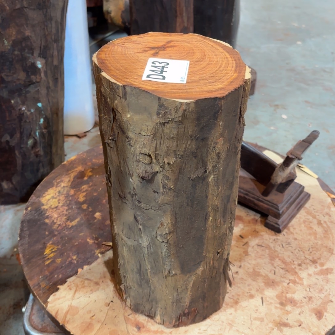 叶***6绿泥一物一拍血檀编码443