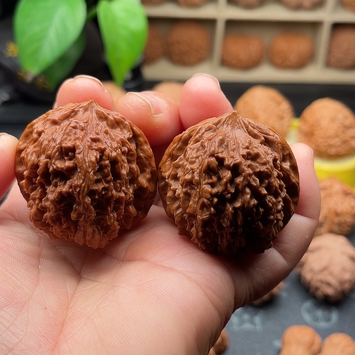 文玩核桃把件全品137边42肚43