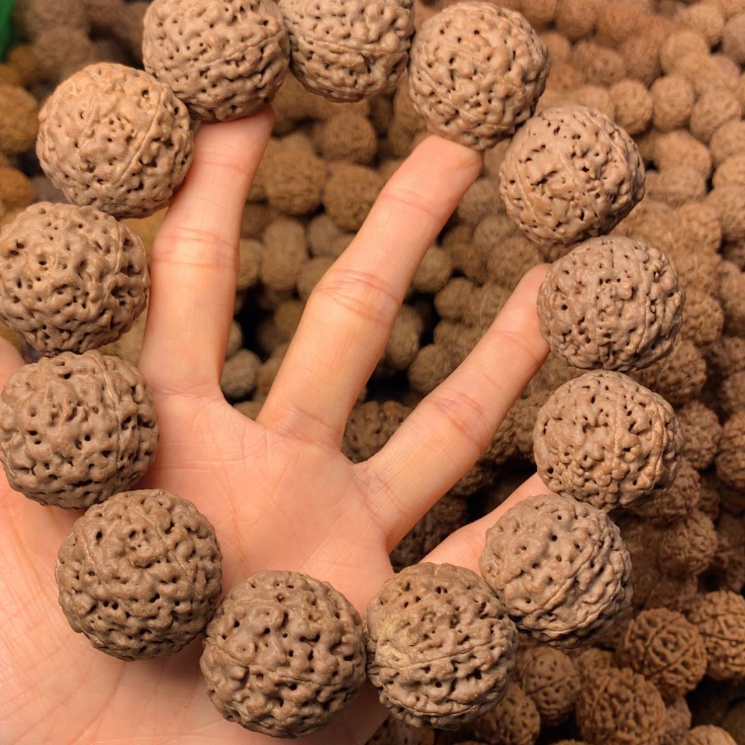 木8瓣爆肉卡29尺寸，100号