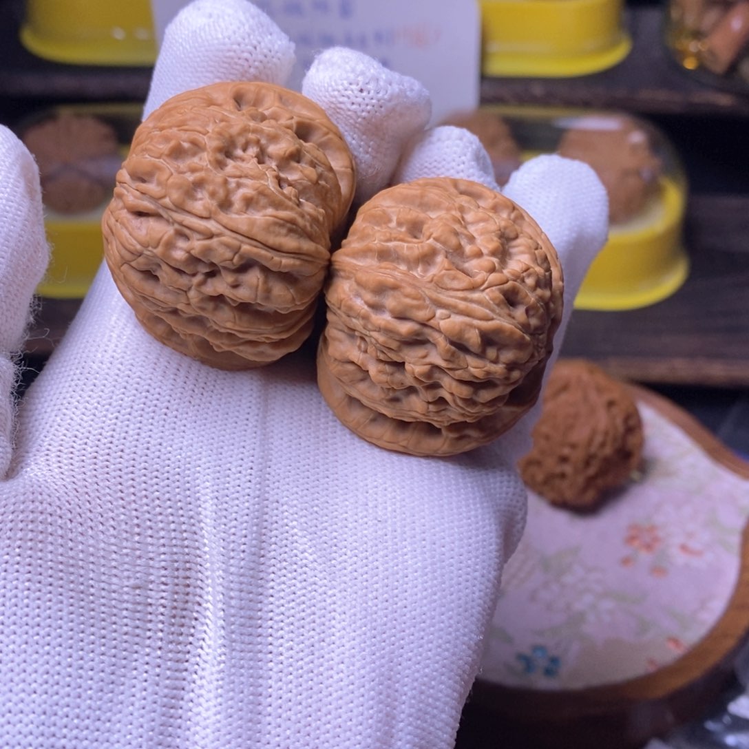 文玩核桃把件白狮子全品