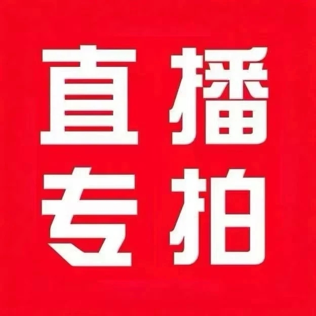 梅花海棠一物一拍盆栽植物适合南北方室内外种植