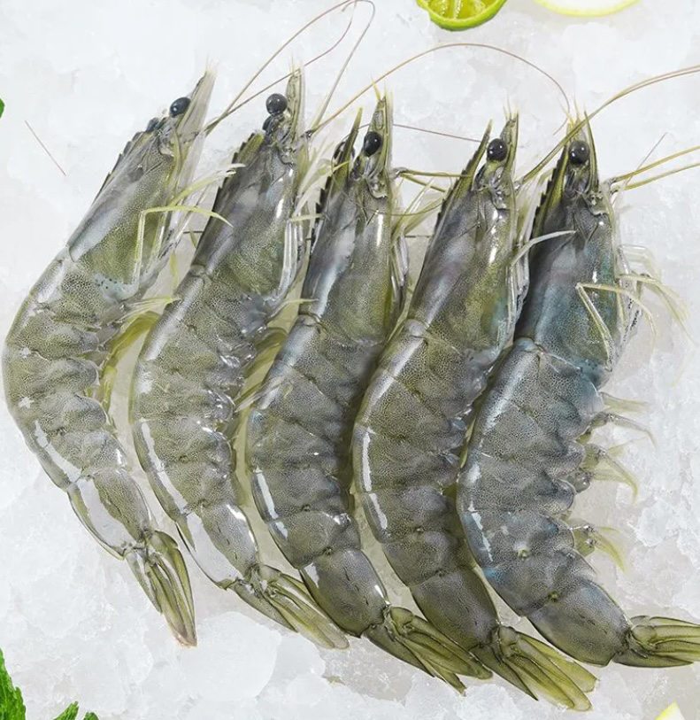 6斤海虾13-15厘米/只，单只单冻活虾速冻锁鲜