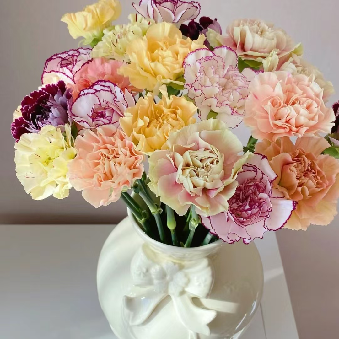 【大聪明卖花】单头康乃馨-任意2单鲜花包邮 发货后不支持退款