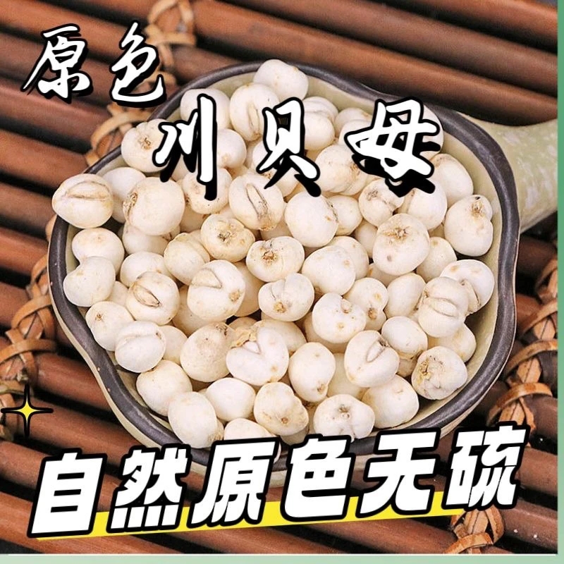 （精选无硫）川贝母散装食品搭配煲汤/煮水搭配炖雪梨