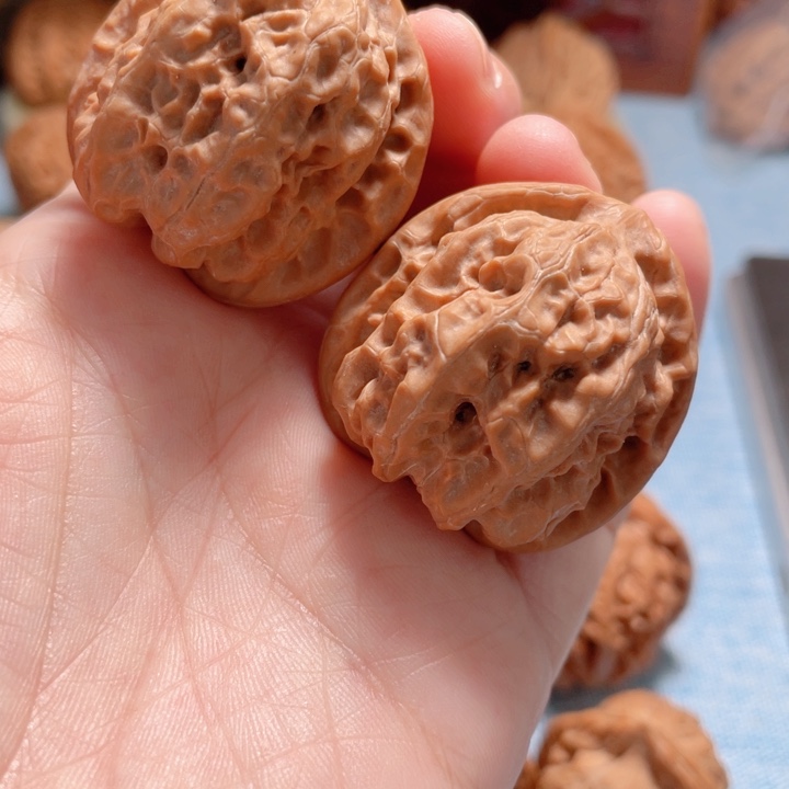 36尺寸磐石狮子头油性足