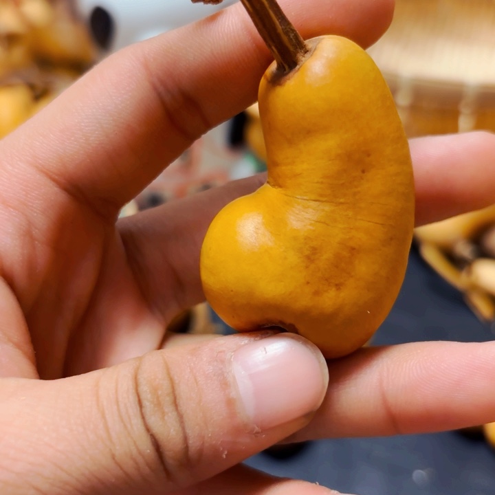 略*风裂888888888888888888