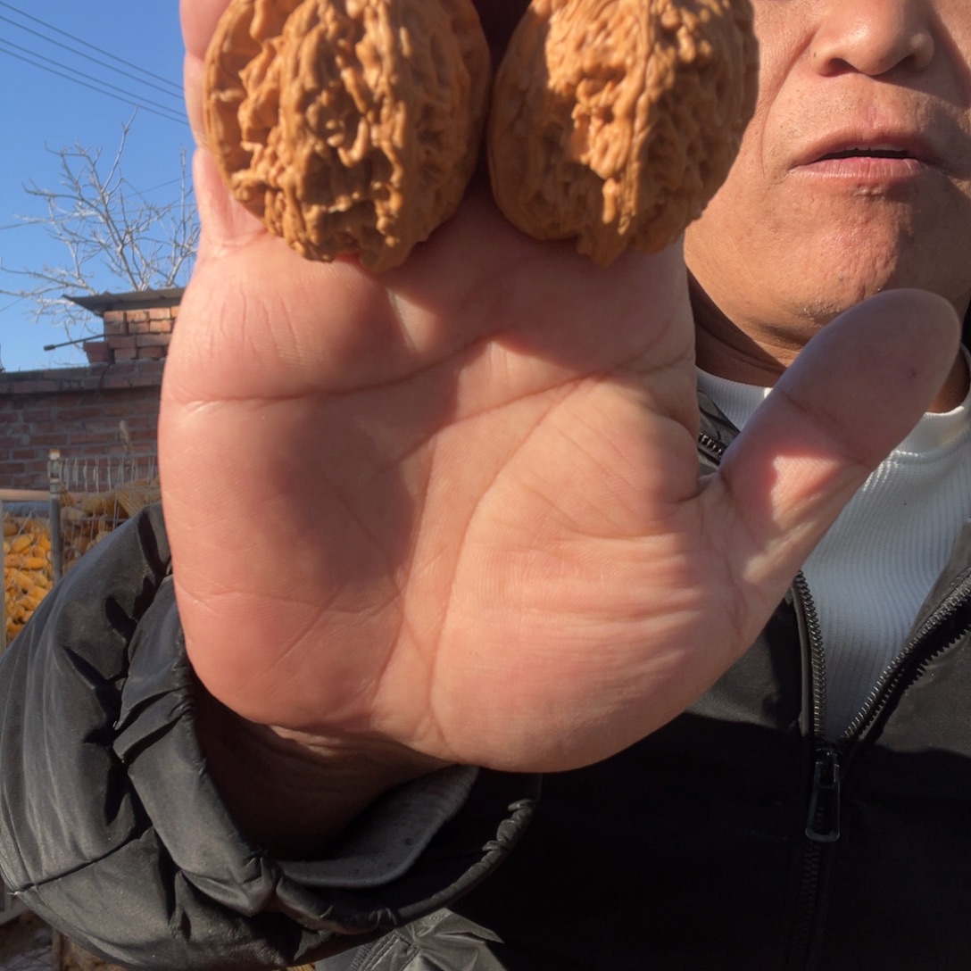 七***学文玩核桃吊坠大沽石41