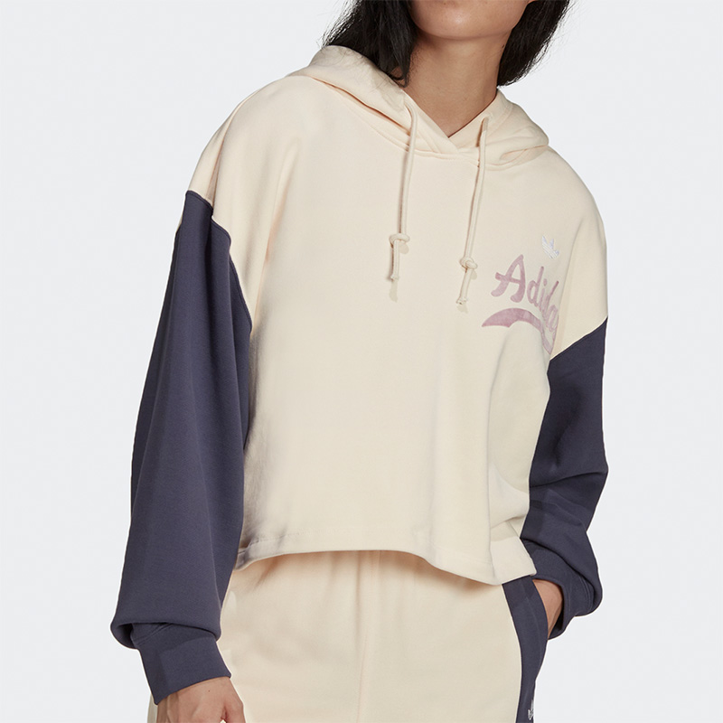 Adidas/阿迪达斯三叶草HOODIE新款女子连帽衫套头卫衣 HD9782