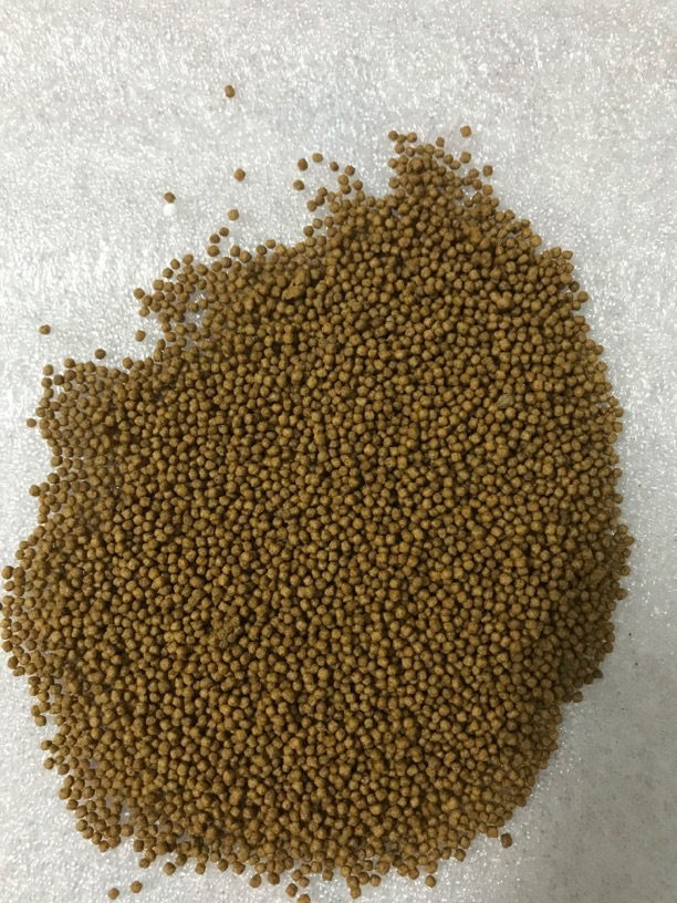 蝴蝶鲤专用45高蛋白鱼粮适合各阶段蝴蝶鲤