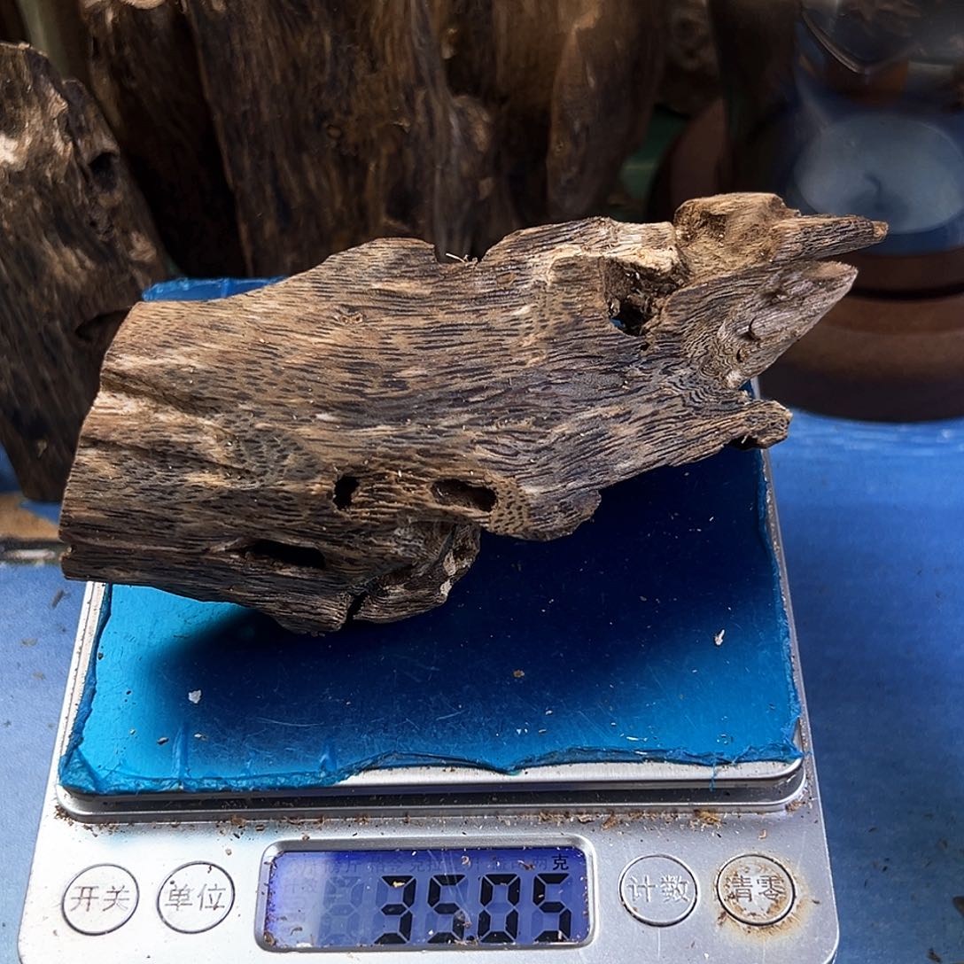 木质绿奇楠虫漏乌身圆叶35克