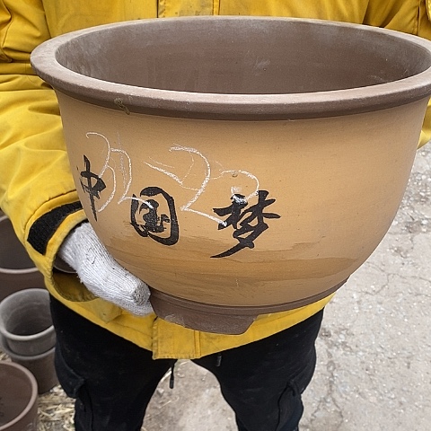 紫砂中国宜兴紫砂花，