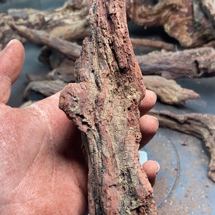 黄花梨/降香黄檀噶**吉海南红降