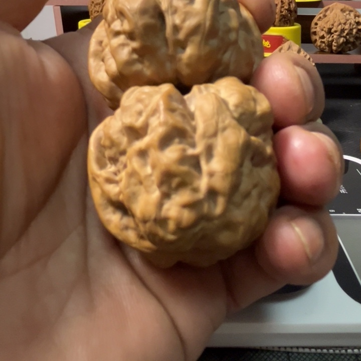 核桃老树蛤蟆头精品配对