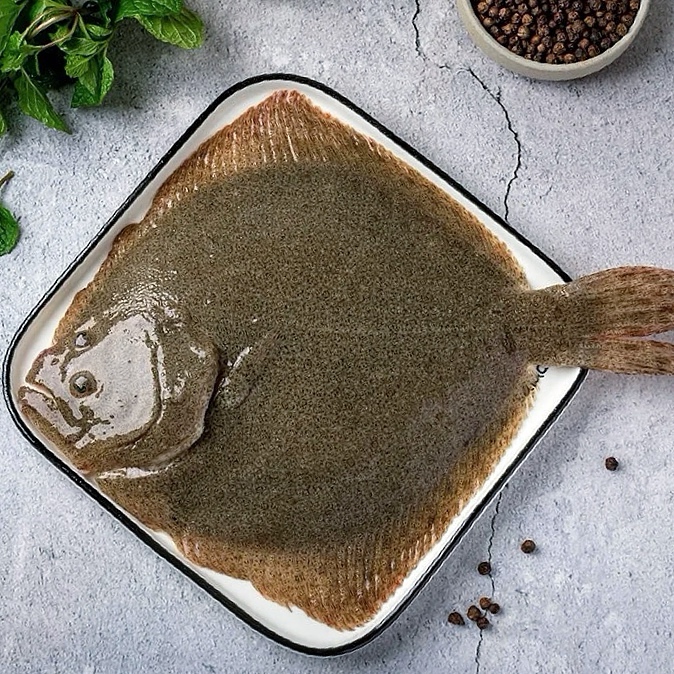 【精选大号多宝鱼】8两-1斤/条 新鲜捕捞 活鱼速冻锁鲜发货