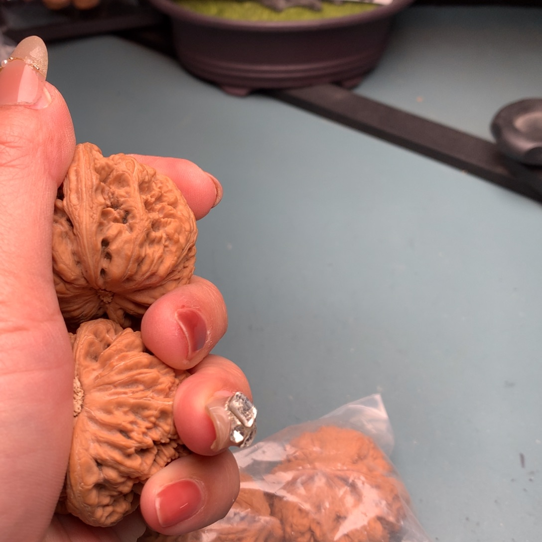 文玩核桃把件全品粗筋4445